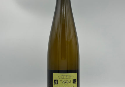 Pino Blanc Bio Expression  2024 (126 kr ved 6 stk)